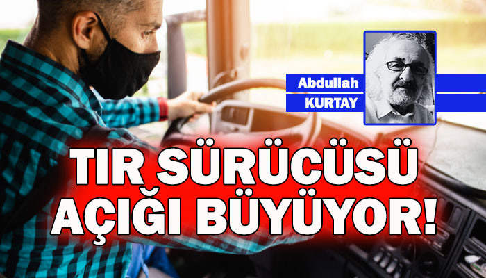 TIR Sürücüsü krizi