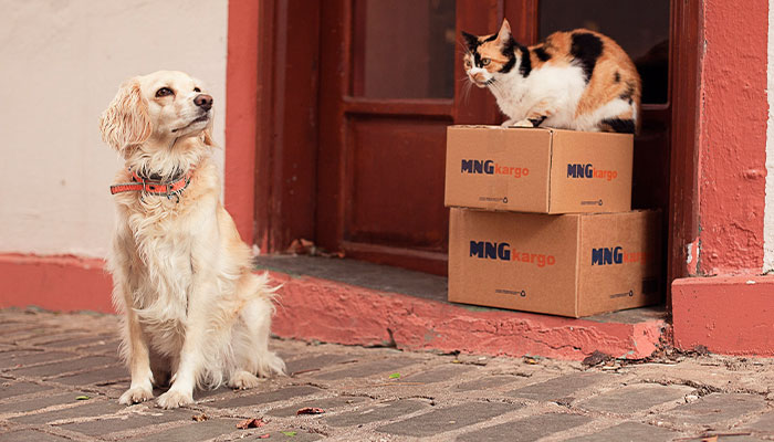MNG Kargo