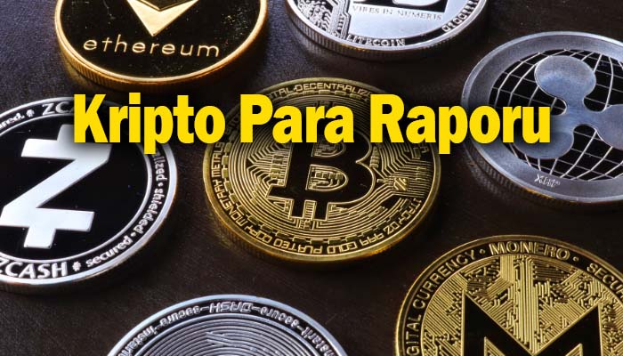 Türk Kripto Para Yatırımcıları Neye, Niçin Yatırım Yapıyor?