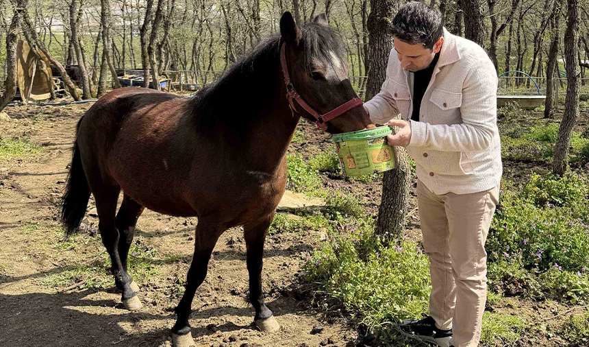 Acliga Terk Edilmis Hayvanlara Ekol Lojistik hayat oluyor