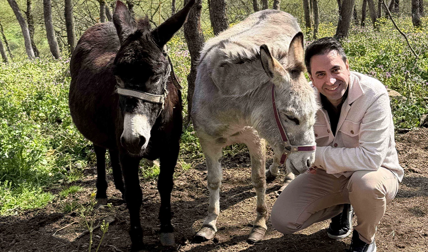 Dogadaki caresiz tum hayvanlar Ekol Lojistik projeksiyonunda