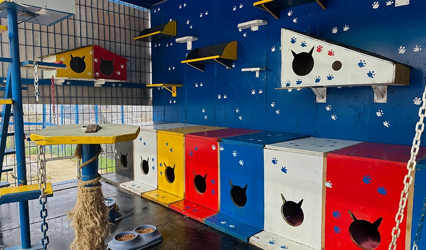 Ekol Lojistik sahipsiz hayvanlara barinma alanlari kuruyor