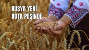 Rusya Bugday ihracati icin yeni rota ariyor